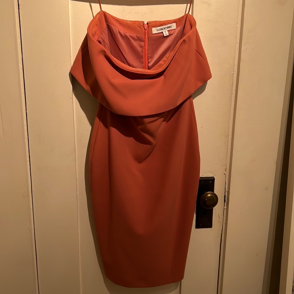 Elizabeth and James strapless dress